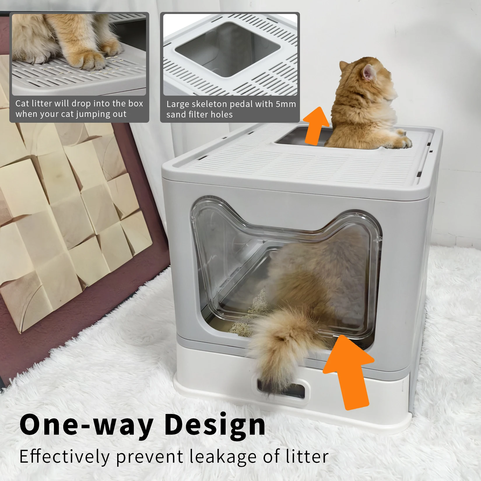 Espace intérieur spacieux de la litière pour chat
