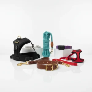 Colliers, Laisses & Harnais