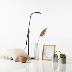 MAISON, DÉCORATION & JARDIN