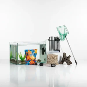 Poissons, Aquariophilie & Animaux exotiques