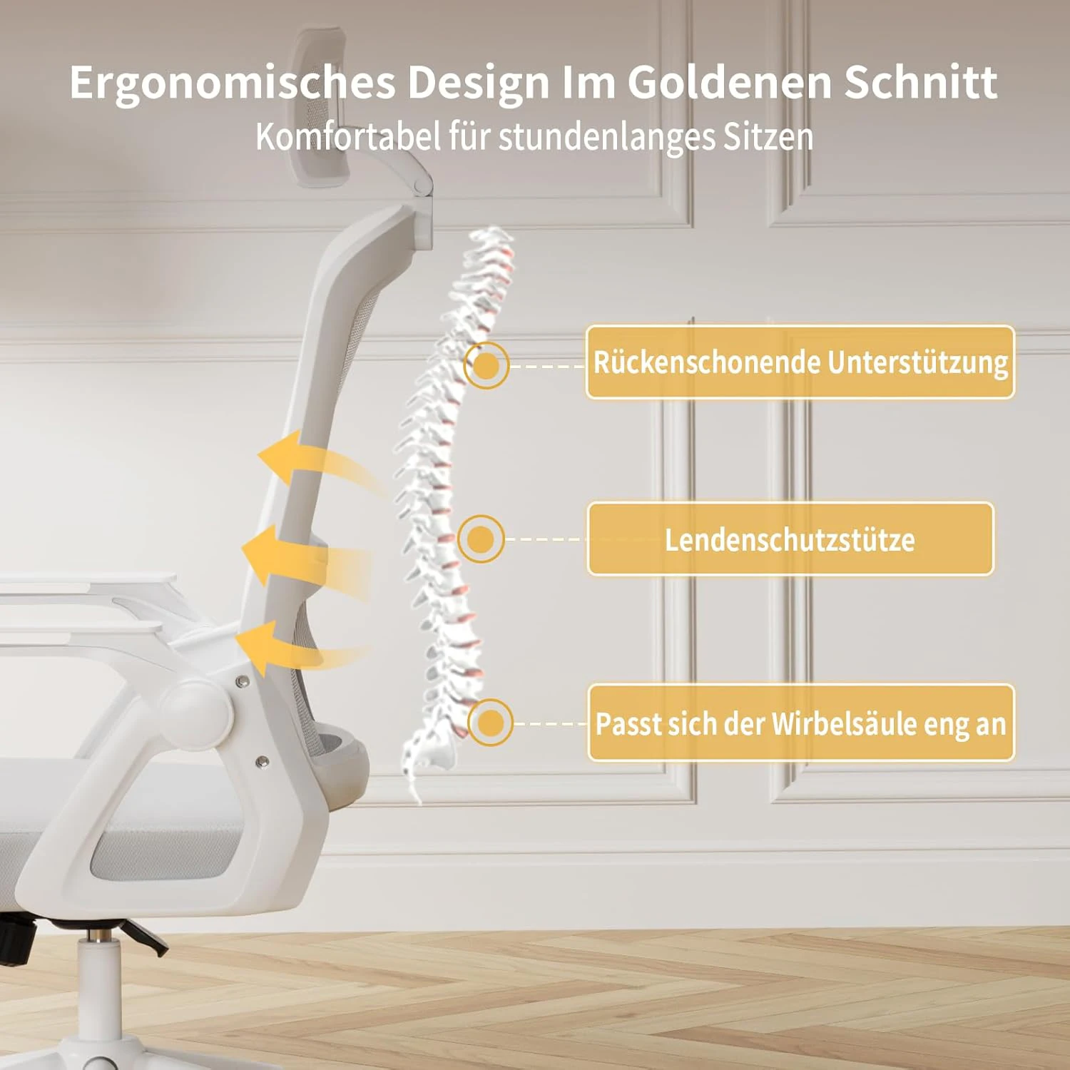 Design ergonomique avec soutien lombaire de la chaise de bureau