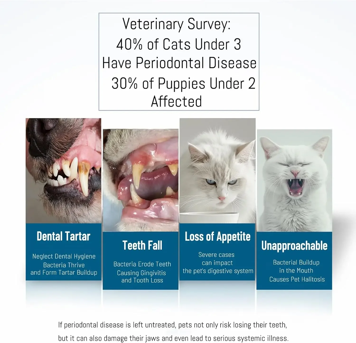 Main tenant une brosse à dents en silicone pour animal