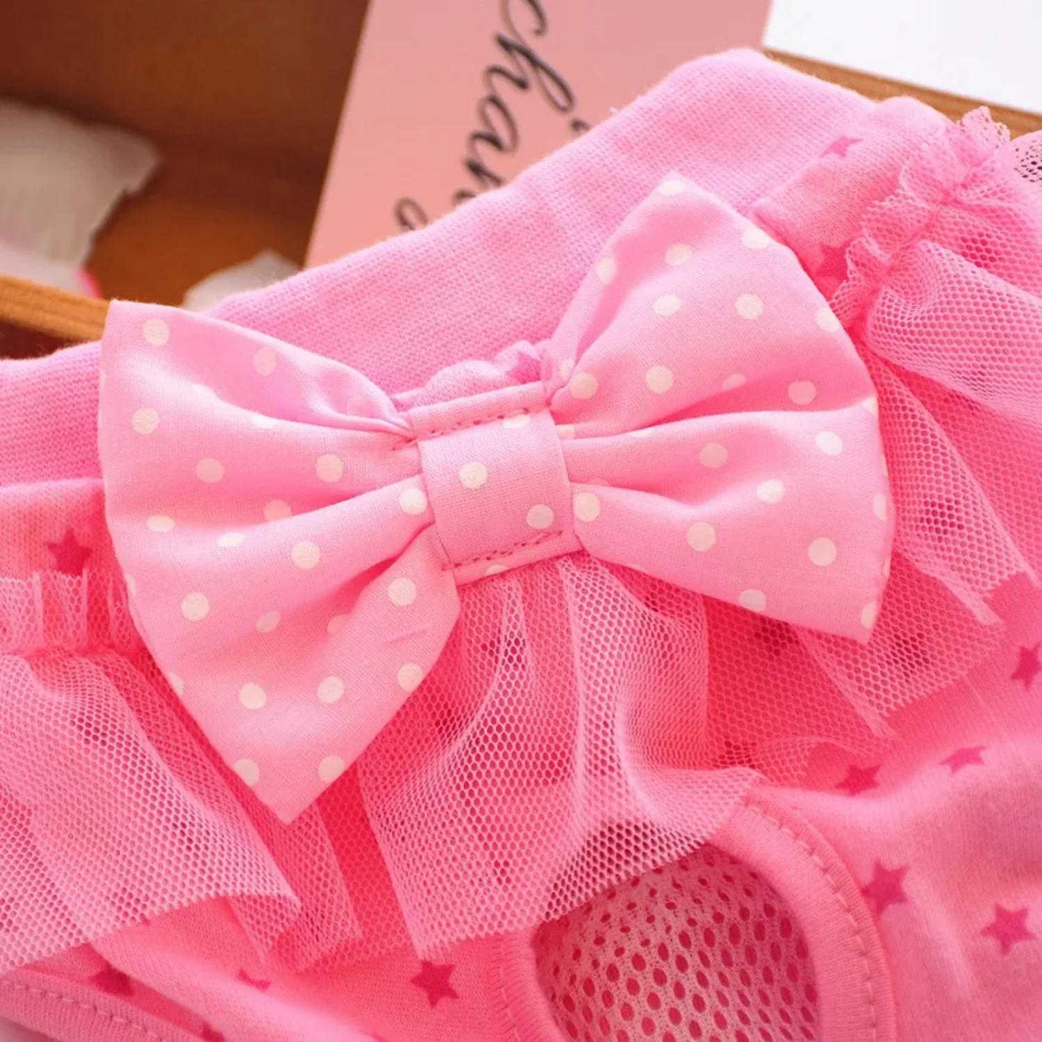 Chienne mignonne portant sa culotte physiologique