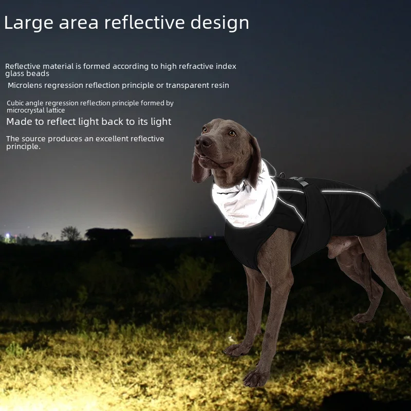 Vue de dos d'un chien portant une veste imperméable avec col montant