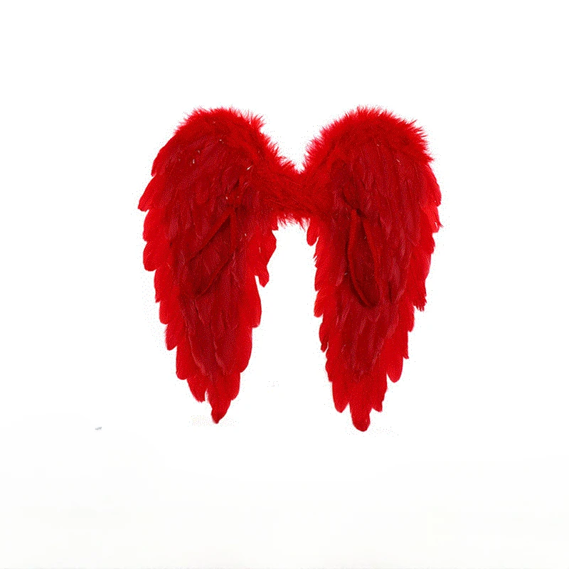 Ailes d'ange en plumes blanches, idéales pour déguisement d'Halloween ou de fête