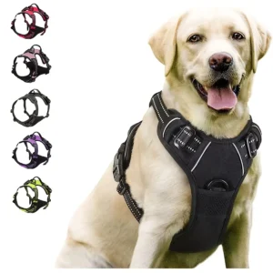 Harnais Anti-Traction Chien - Clip Frontal Réfléchissant