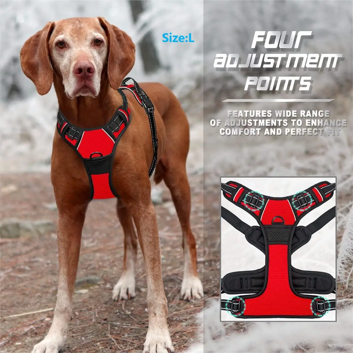 Adjusting the harness straps